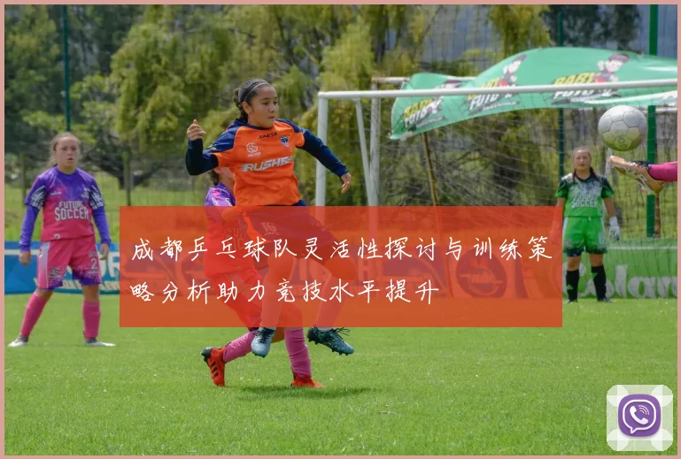 成都乒乓球队灵活性探讨与训练策略分析助力竞技水平提升