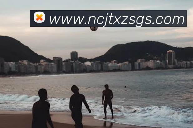 奖项图1